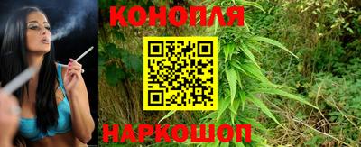 кокс Аша