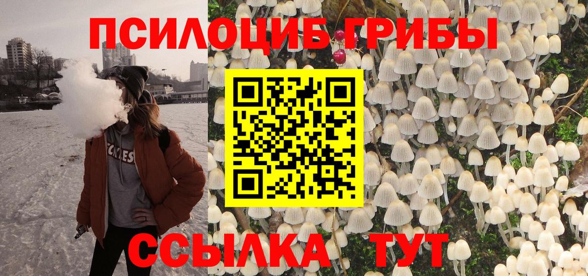 Галлюциногенные грибы мухоморы  Вход с VPN  Галлюциногенные грибы Psilocybine cubensis  Александров 